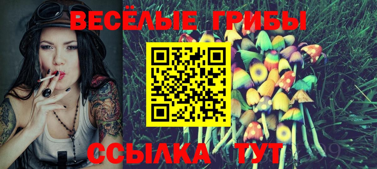 где купить   Вход с VPN  Партизанск  Псилоцибиновые грибы мухоморы 