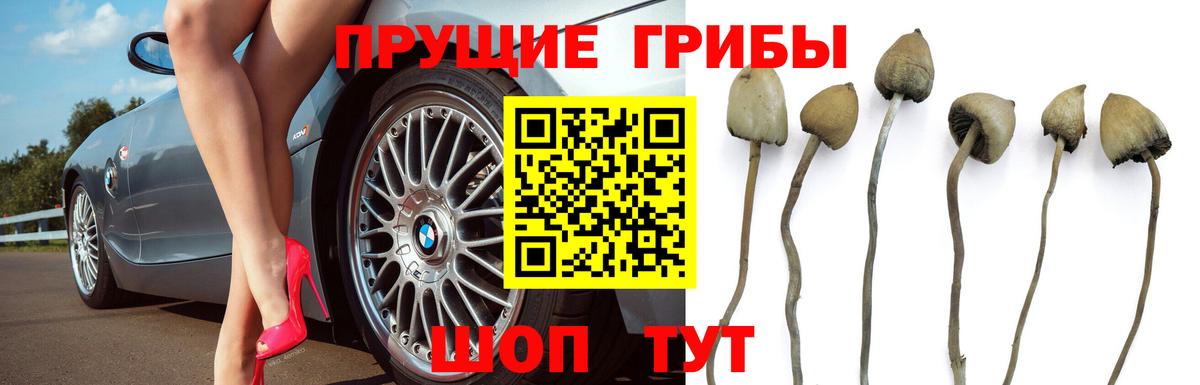 Галлюциногенные грибы мицелий Партизанск